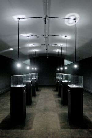 *Coup d’éclat*, exhibition view, Fort du Brussin, 2011. Featuring Carlos Garaicoa, *Las Joyas de la Corona (Base Naval de Guantánamo)*, 2009, series of sculptures in silver. Photo: Blaise Adilon