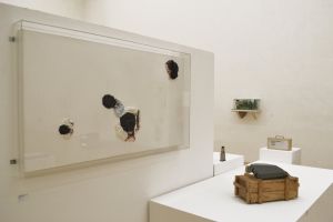 Vue de l’exposition*Terrains Vagues*,  galerie de l’ESAD Grenoble, du 1er au 18 décembre 2014. Gauche : Clemens Krauss,*Untitled*(depuis la série Chromosomes)*, 2008.
