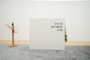 View of the exhibition *Toute première fois* at the gallery of ESAD in Grenoble, from 8 to 18 December 2015. Photo: Renaud Menoud