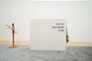 Vue de l’exposition *Toute première fois* à la galerie de l’ESAD de Grenoble, du 8 au 18 décembre 2015. Photo : Renaud Menoud